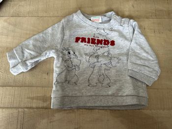 Sweat gris Tic et Tac