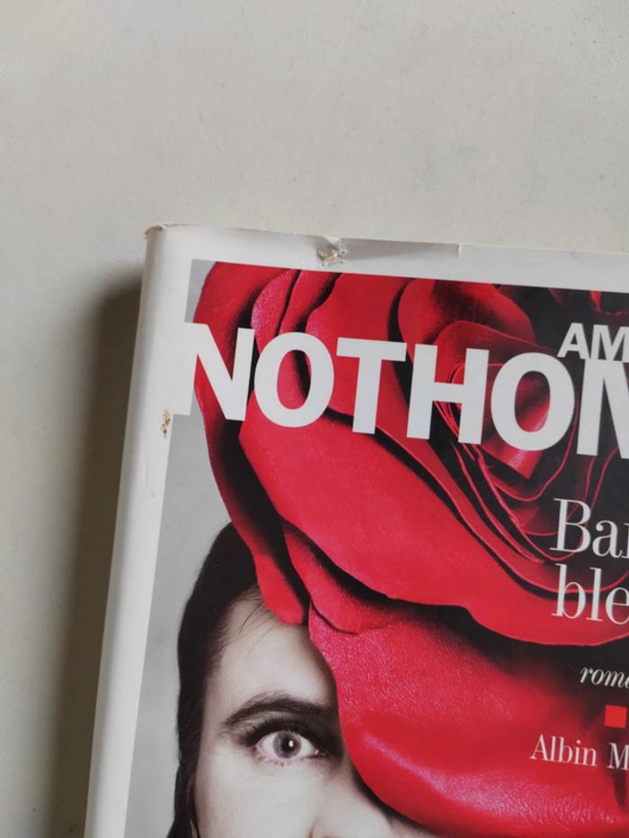 Amelie Nothomb, barbe bleue - photo numéro 4