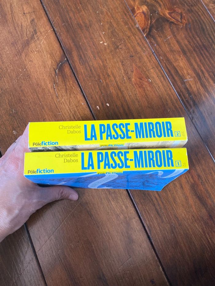 La passe-muraille de Christelle Dabos - photo numéro 6