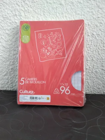 Lot cahier de brouillon