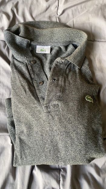 polo Lacoste