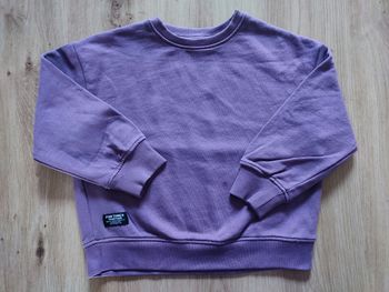 Sweat violet