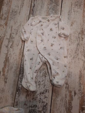 Grenouillère petite souris