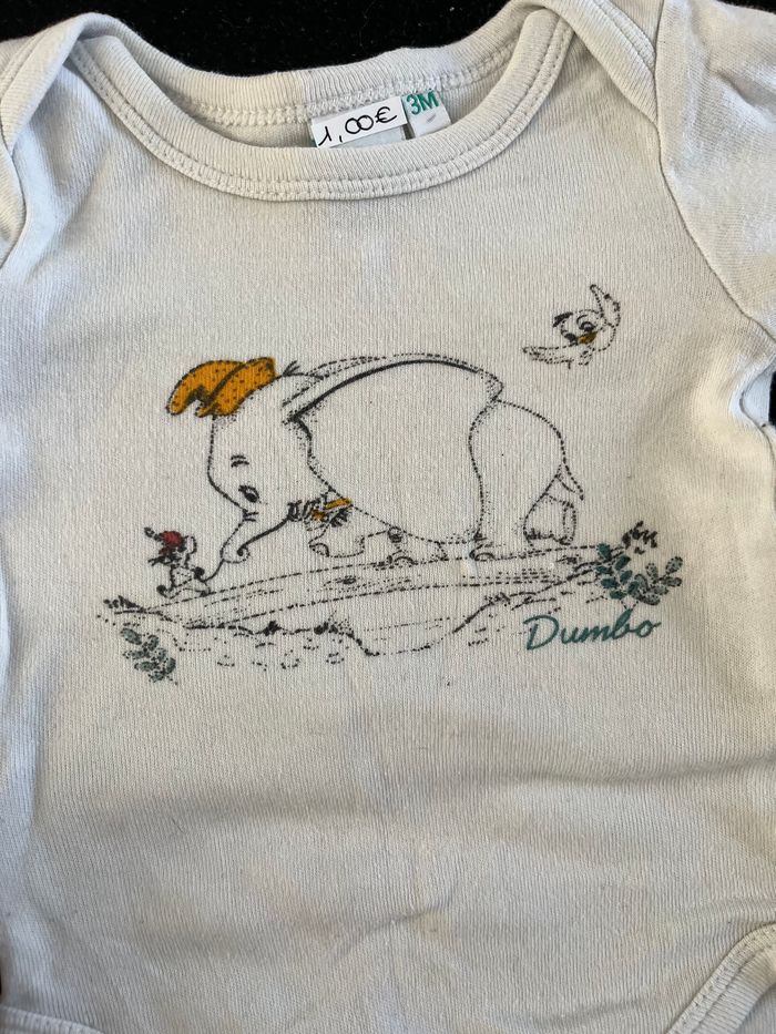 Bodie 3 mois - photo numéro 4