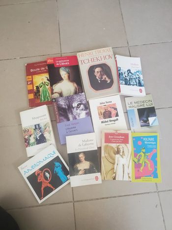 Lot de 12 livres classique
