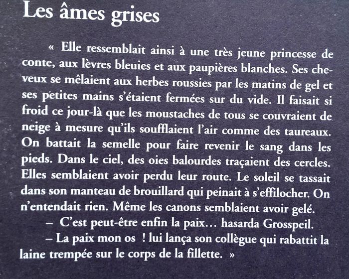 Philippe Claudel - les âmes grises - photo numéro 6