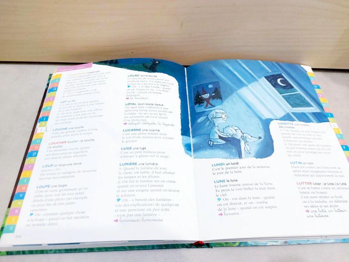 🌺 Livre : Mon premier dictionnaire Gallimard Jeunesse 4/7 ans - photo numéro 4