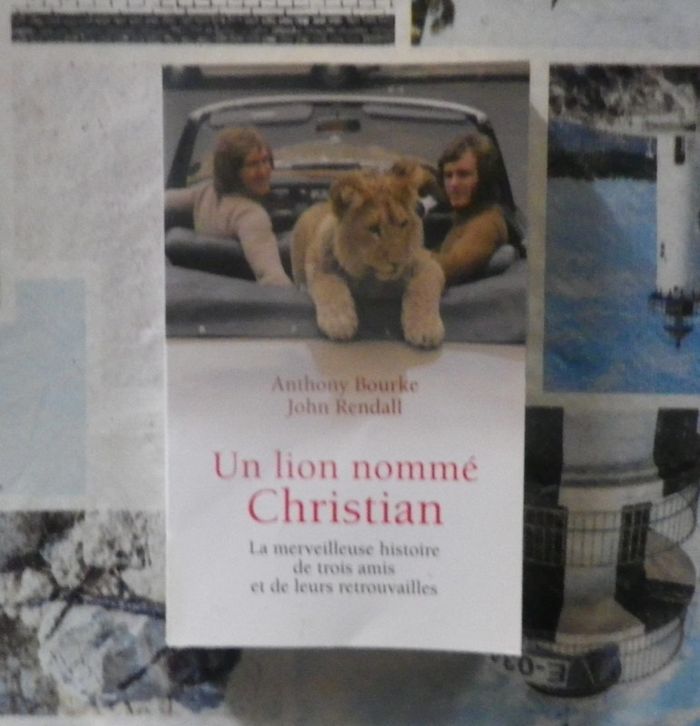 Un lion nommé Christian par A. Bourke et J. Rendall