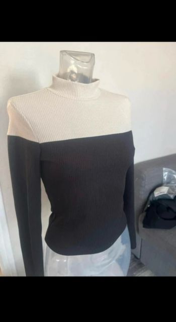 Pull col roulé