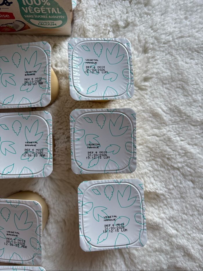 Yaourts végétaux au lait de coco - photo numéro 4