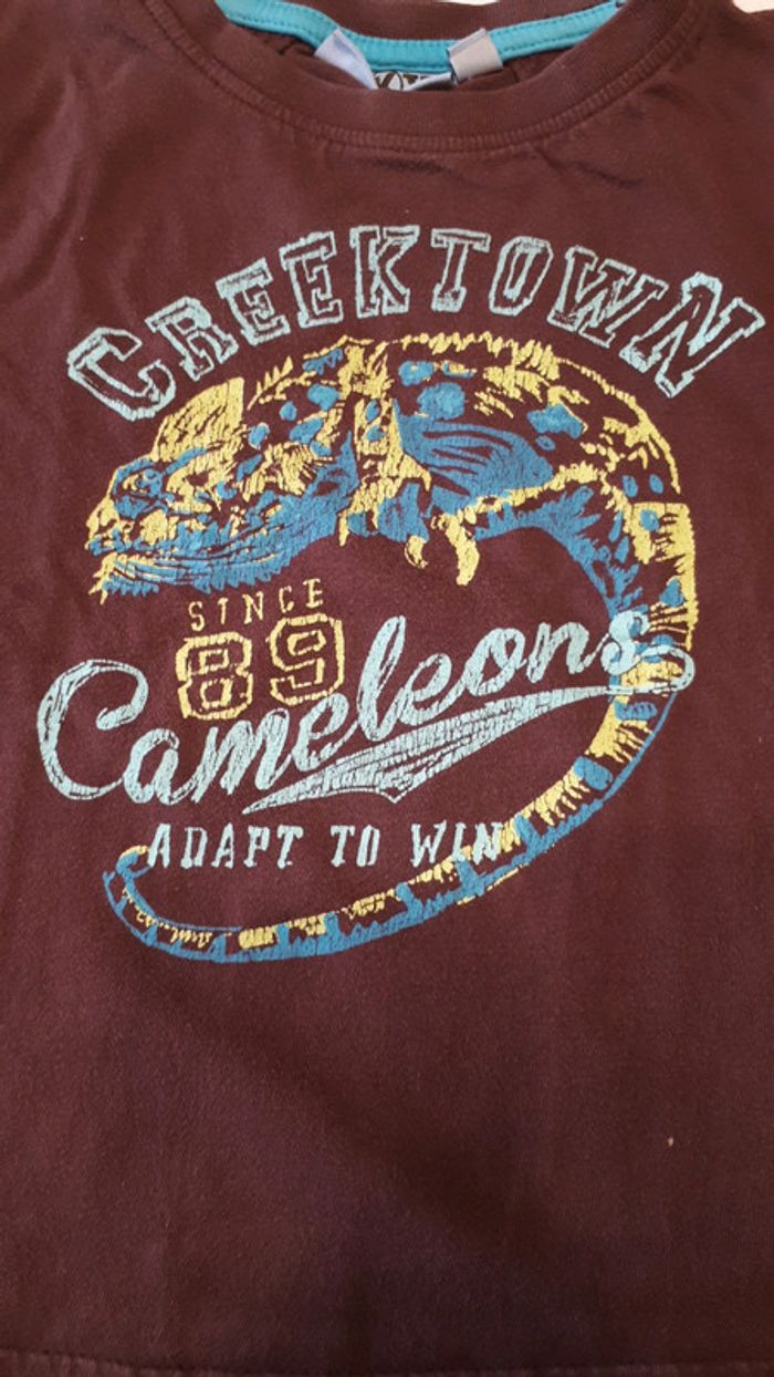 T-shirt caméléon - photo numéro 2