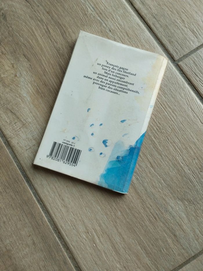 Roman jeunesse - photo numéro 2