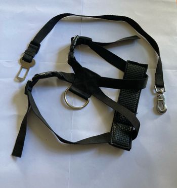 Harnais pour ceinture de sécurité