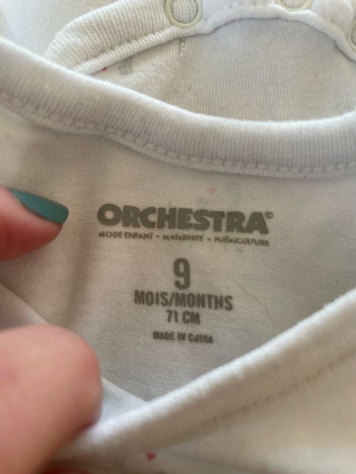 Lot de bodies 9 mois - photo numéro 2