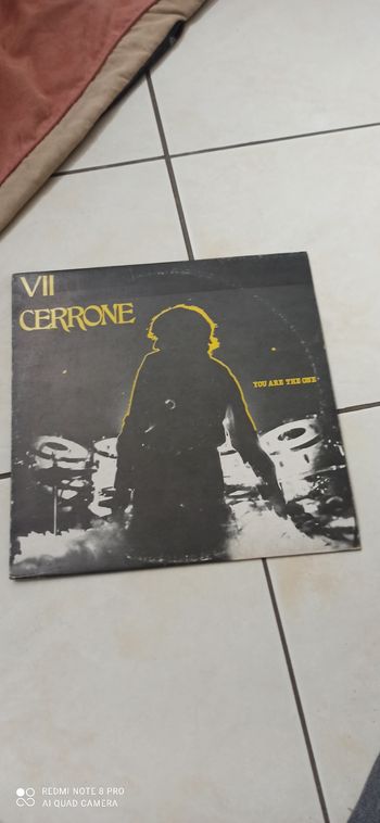 Disque 33 t cerrone