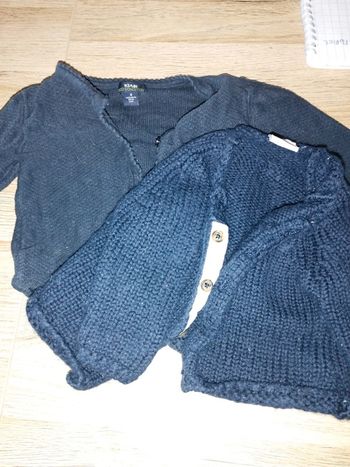 Lot 2 gilets velu