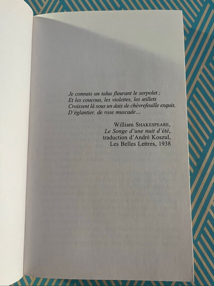 Roman « La disparition d’Audrey Wilde » d’Eve Chase - photo numéro 6