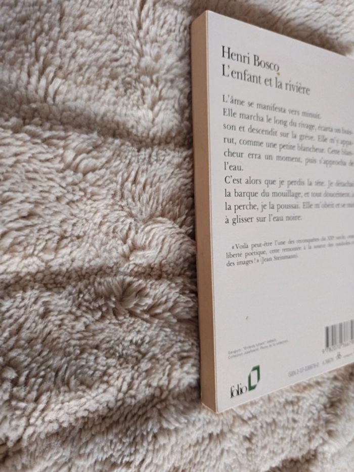 L'enfant et la rivière - photo numéro 3