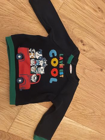 Pull du pareil au meme