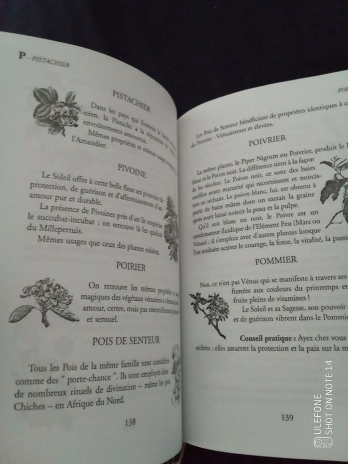 De l'usage des herbes poudres et encens en magie - photo numéro 11