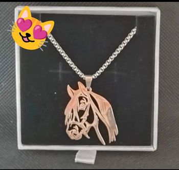 Collier tête de cheval argenté