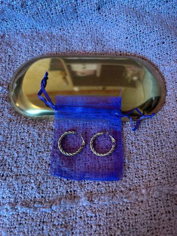 Créoles torsadés en acier inoxydable