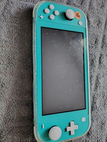 Switch lite