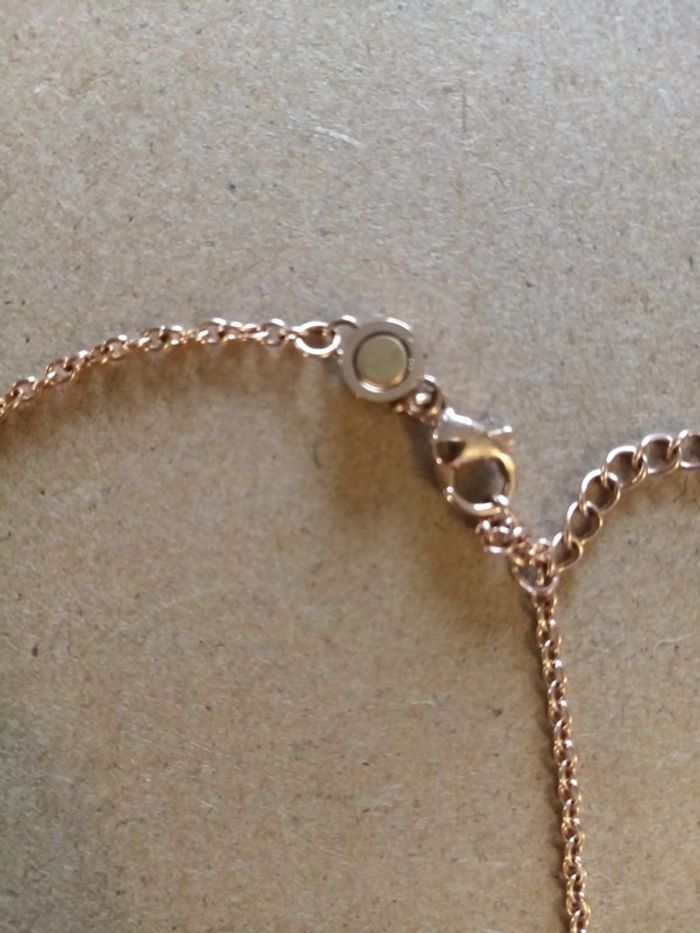 Chaine et pendentif feuille  magnétiques - photo numéro 3