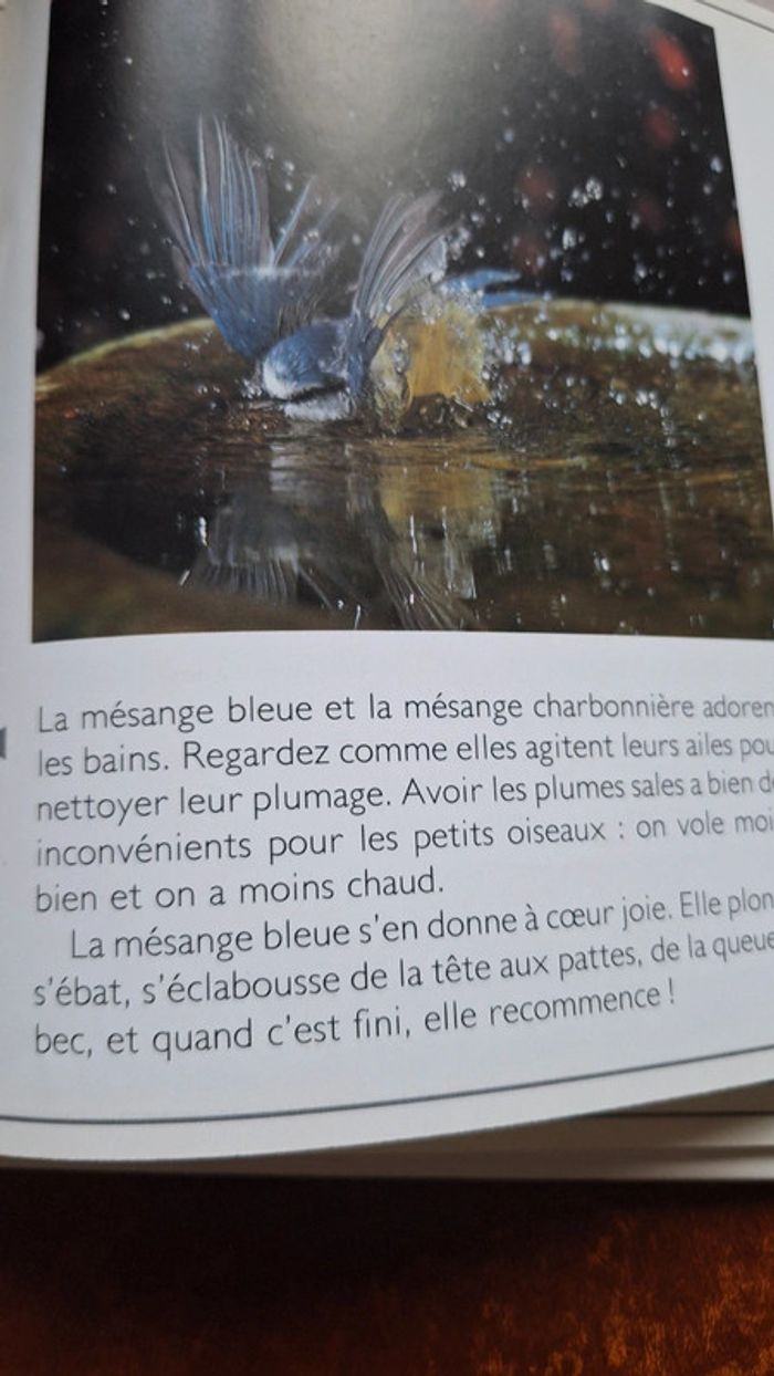 Jane burton animaux hatier - photo numéro 2