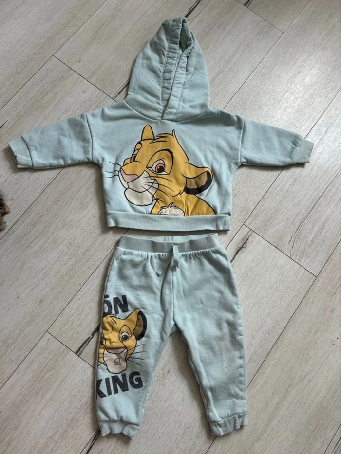 Ensemble roi lion