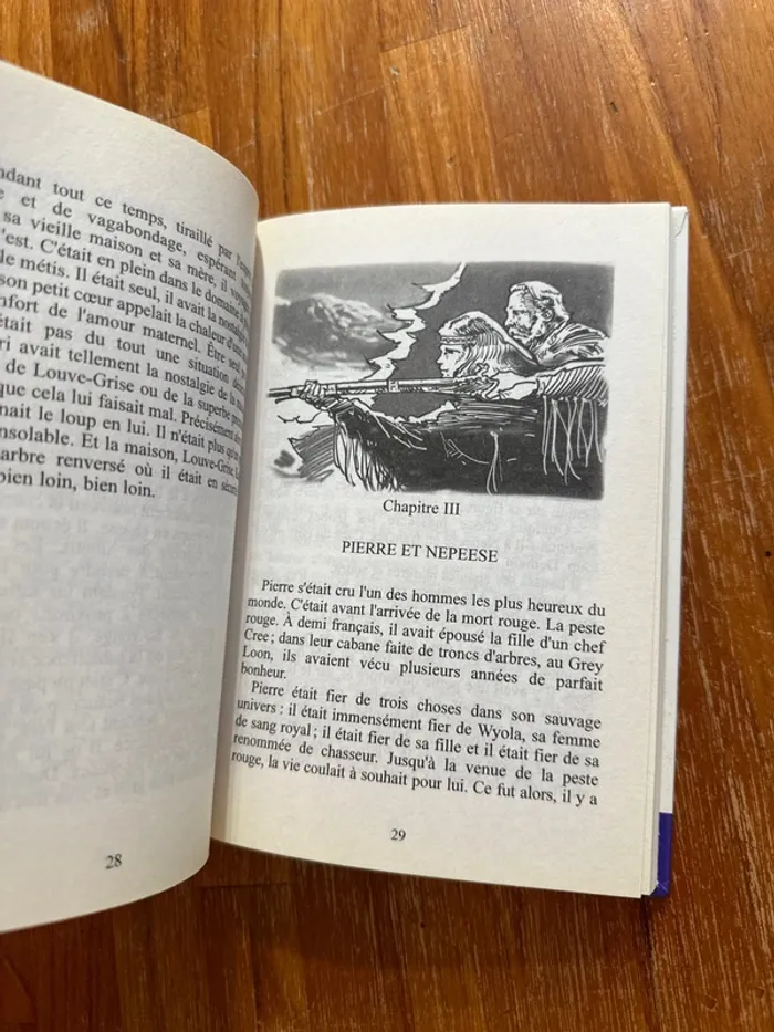 Livre Bari chien loup - photo numéro 4