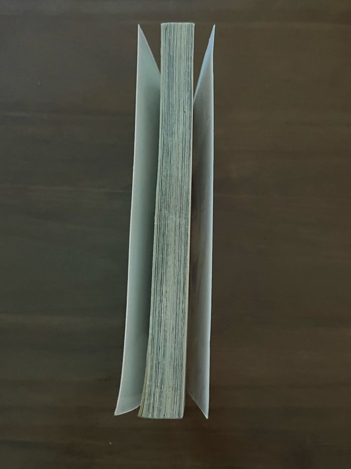 Manga Devil Devil Yuki Miyoshi Pika Éditions Tome 6 - photo numéro 3