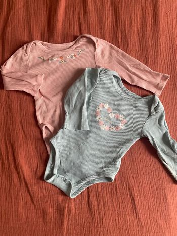 Lot 2 bodies 12m