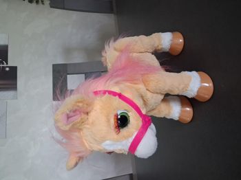 Cannelle mon poney coquet et ses accessoires