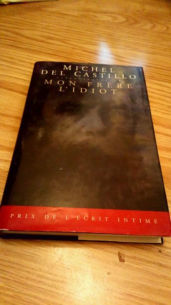 Livre Mon Frère l'idiot