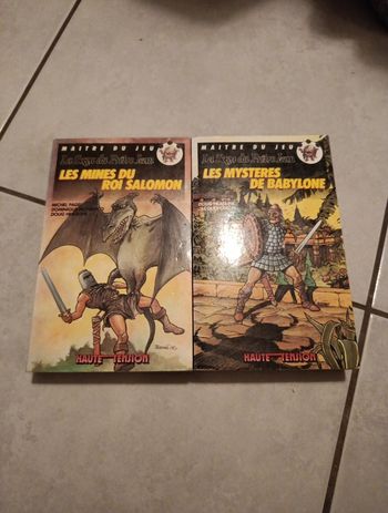 Lot 2 Livres Dont Vous Êtes Le Héros Maître Du Jeu La Saga Du Prêtre Jean