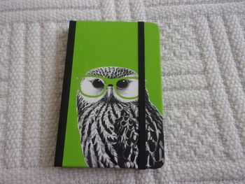 carnet "chouette" 9 x 14 cm