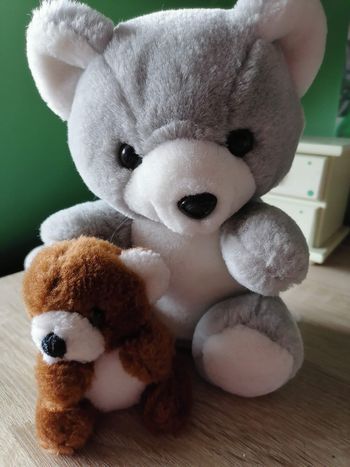 2 peluches ours