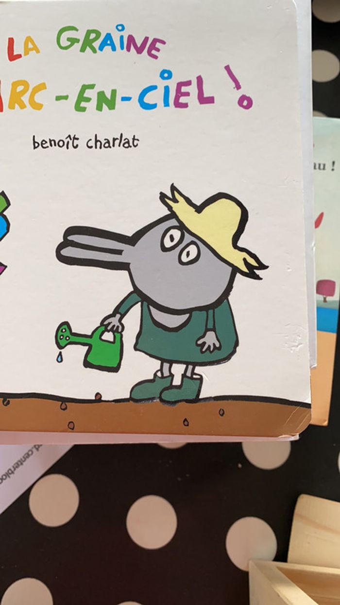 Livre la graine d’arc-en-ciel - photo numéro 3