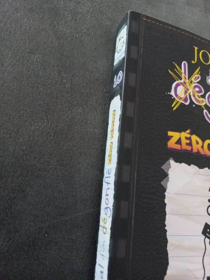 Livre journal d'un dégonflé tome 10 - photo numéro 4