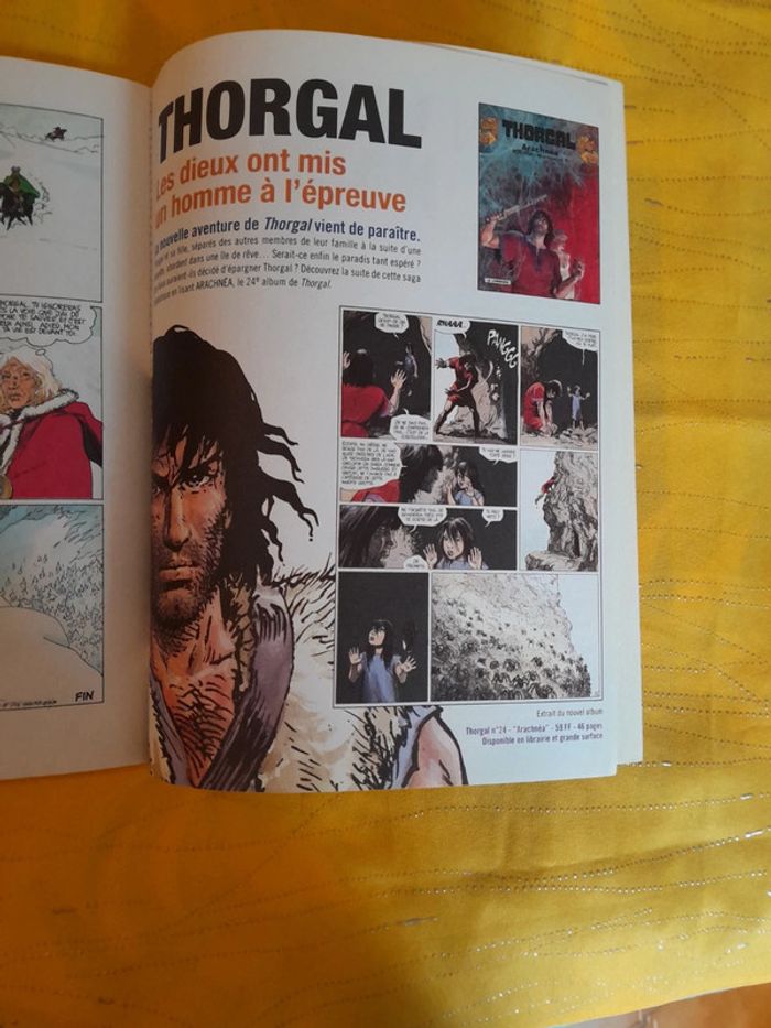 BD Vintage (1999) Thorgal > Le maître des Montagnes - photo numéro 9