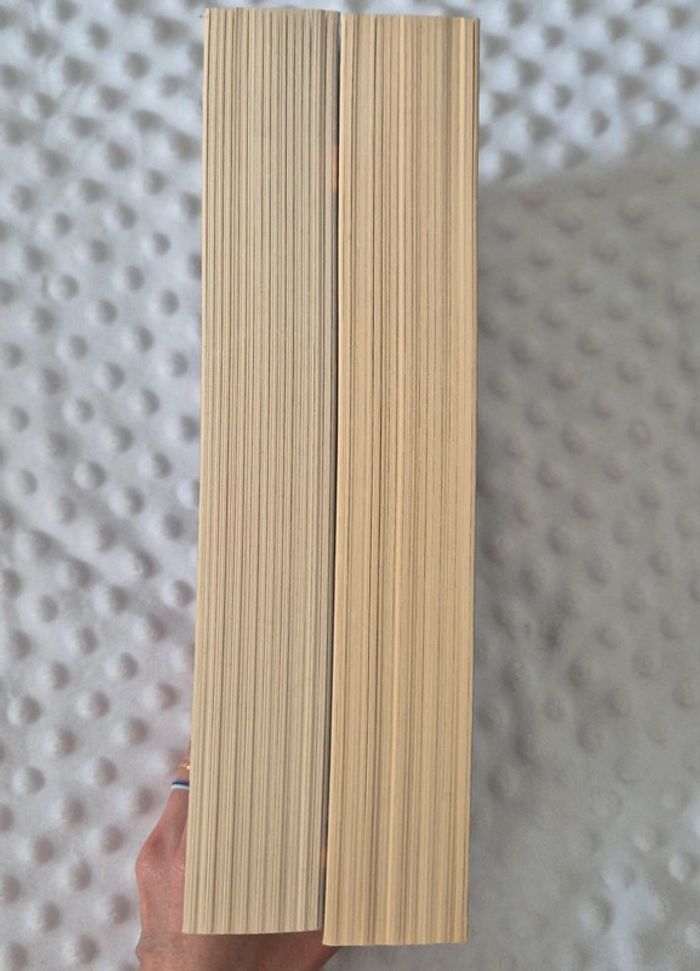 Lot Mage de sang - Stephen Aryan - photo numéro 7