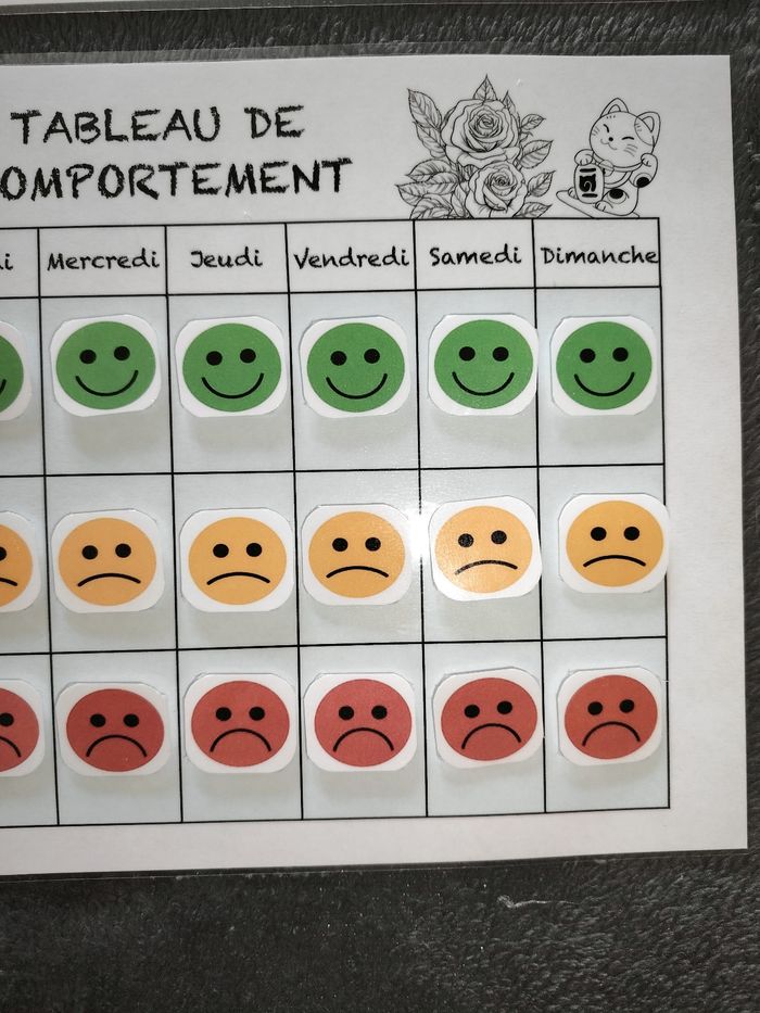 2 fiches comportement - photo numéro 3