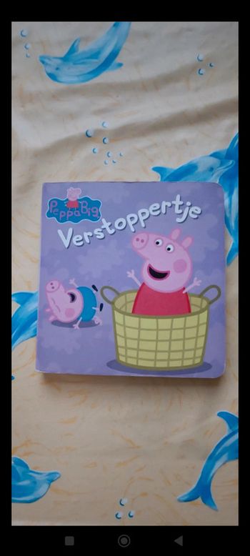Peppa pig verstoppertje livre