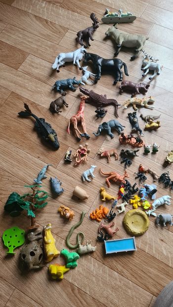 Animaux