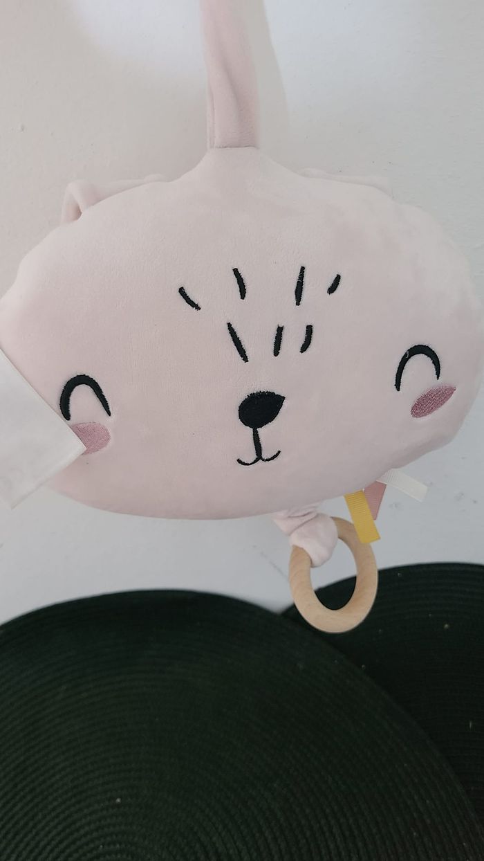 Coussin Musical Animal - photo numéro 2