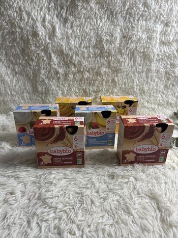 Lot de 6 boîtes de crèmes semoules Babybio 