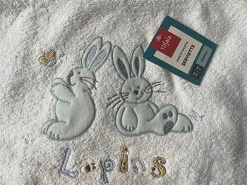 Serviette de bain enfant  neuve + 2 gants de toilettes enfants