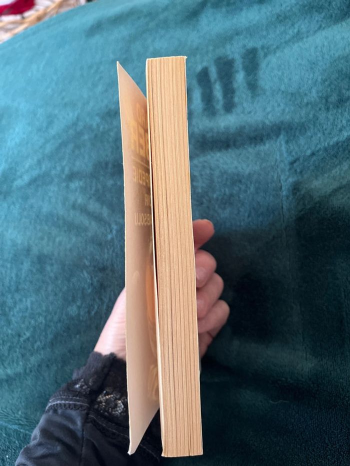 Livre - photo numéro 2