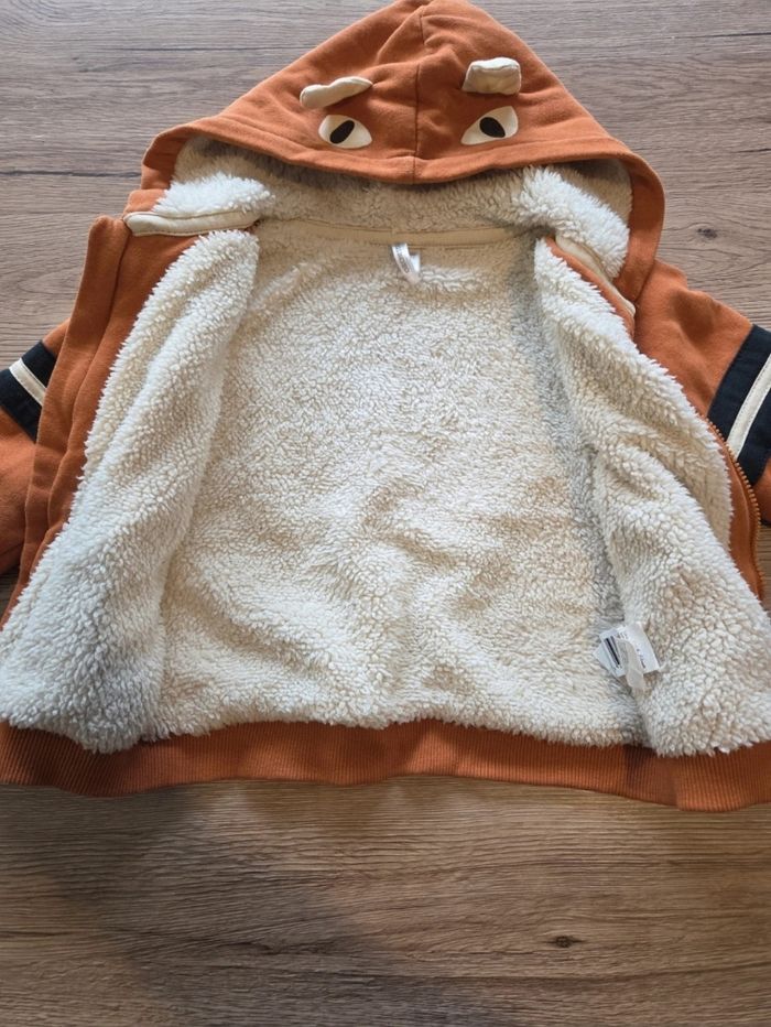 Veste - photo numéro 4